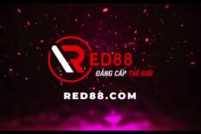 RED88 – Nhà cái cá cược trực tuyến uy tín 100%  – Link vào RED88 an toàn nhất 2025
