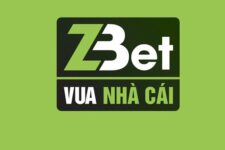 ZBET – Giới thiệu nhà cái uy tín ZBET –  Link vào ZBET uy tín nhất không bị chặn – Update 2025
