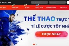 Nhà cái May88 – Địa chỉ uy tín cho các tín đồ đam mê cá cược
