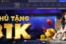 7Ball – Review từ A Tới Z Nhà Cái Cá Cược – Update 1/2025