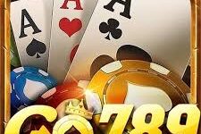 Go789 – Nhà Cái Uy Tín Hàng Đầu Dành Cho Game Thủ Việt