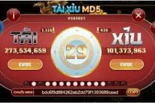 Thủ Thuật Chơi Tài Xỉu MD5 Trên Các Nền Tảng Cá Cược Hiệu Quả