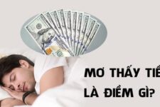 Mơ Thấy Mất Tiền Khi Cá Cược: Điềm Báo Hay Phản Ánh Tâm Lý?