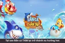 Đánh Giá Tổng Quan Sảnh Bắn Cá TX88: Minh Bạch – Bảo Mật – Sáng Tạo