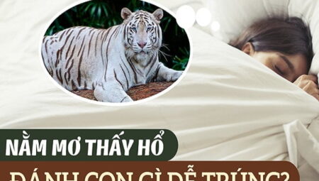 Giải Mã Giấc Mơ Thấy Hổ: Ý Nghĩa Tiềm Ẩn Và Những Con Số May Mắn