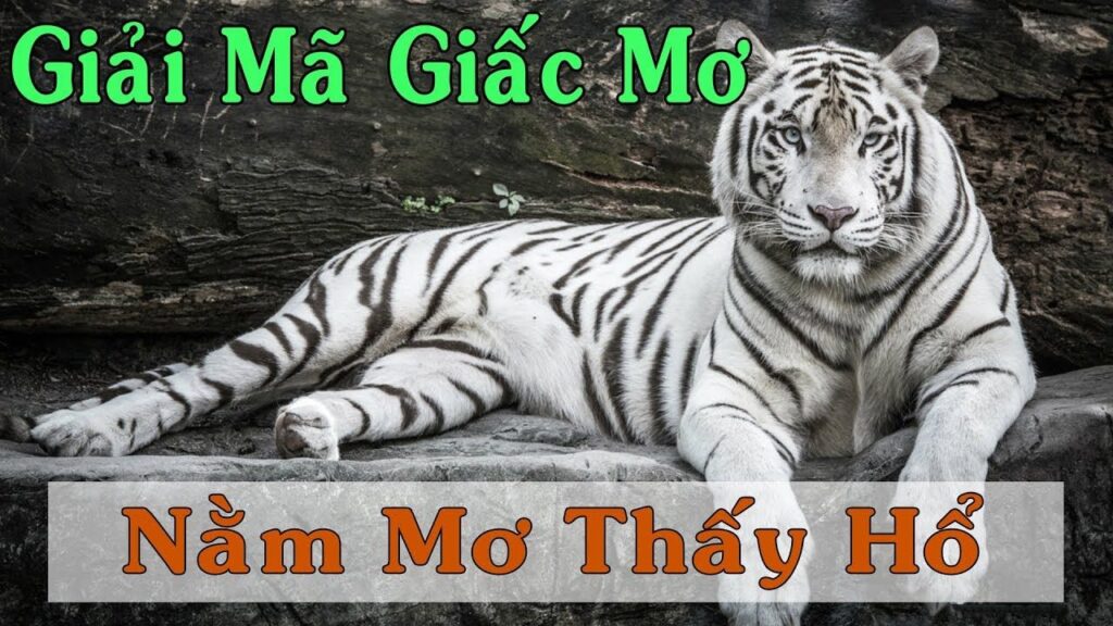 Giải Mã Giấc Mơ Thấy Hổ: Ý Nghĩa Tiềm Ẩn Và Những Con Số May Mắn