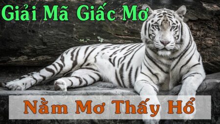 Giải Mã Giấc Mơ Thấy Hổ: Ý Nghĩa Tiềm Ẩn Và Những Con Số May Mắn